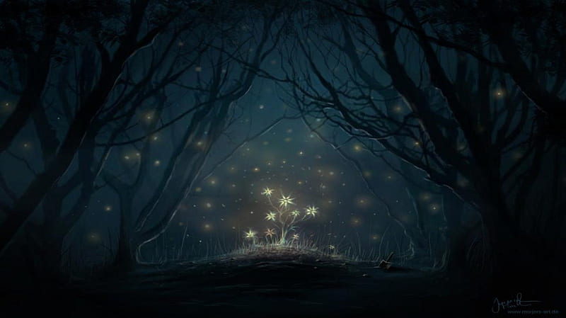 Rising enchanting, forest, magic, abstract, tree, fantasy, dark, enchant, fairy, night, HD wallpaper