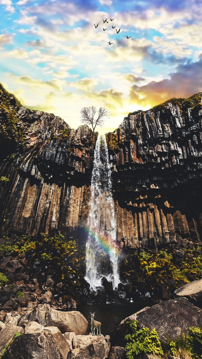 Sunrise Waterfalls, QUBIX, clouds, dramatic, fairy, falling, fantasy, flowing, forest, green, ice, jungle, lake, mountains, nature, night, plants, pond, rain, river, rocks, scenic, sky, snow, snowfalkl smoke, sunset, swimming, tale, thunders, trees, trews, water, weather, HD phone wallpaper