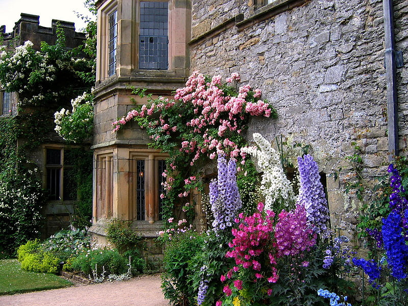 Haddon Hall, house, english, flowers, garden, bonito, roses, facade, HD wallpaper