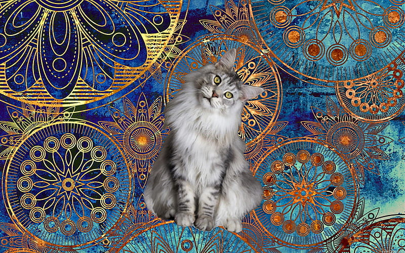 Clockwork Cat, cat, kitty, steampunk, clockwork, HD wallpaper
