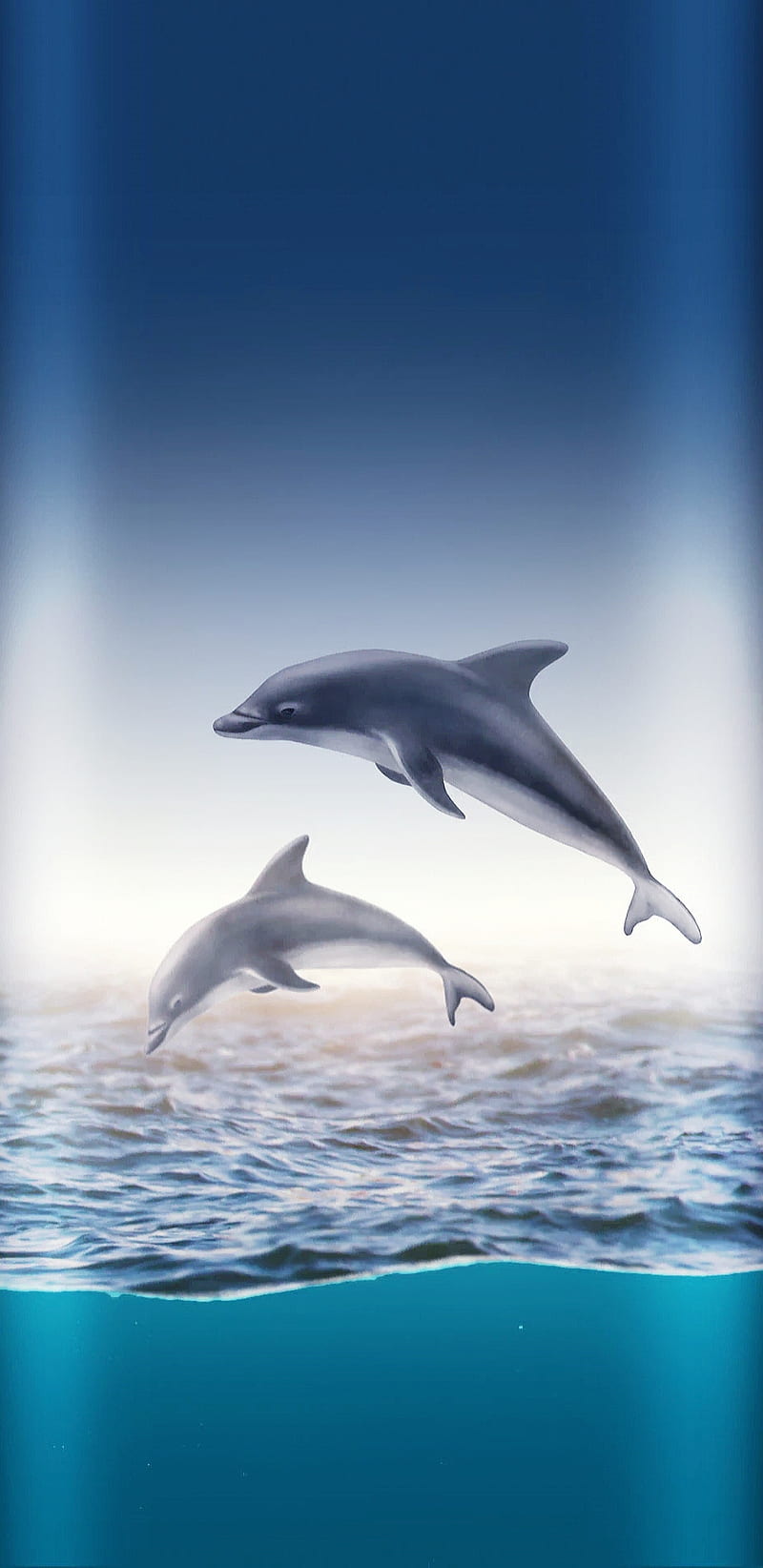 Dolphins, blue, dolphin, sea, HD phone wallpaper