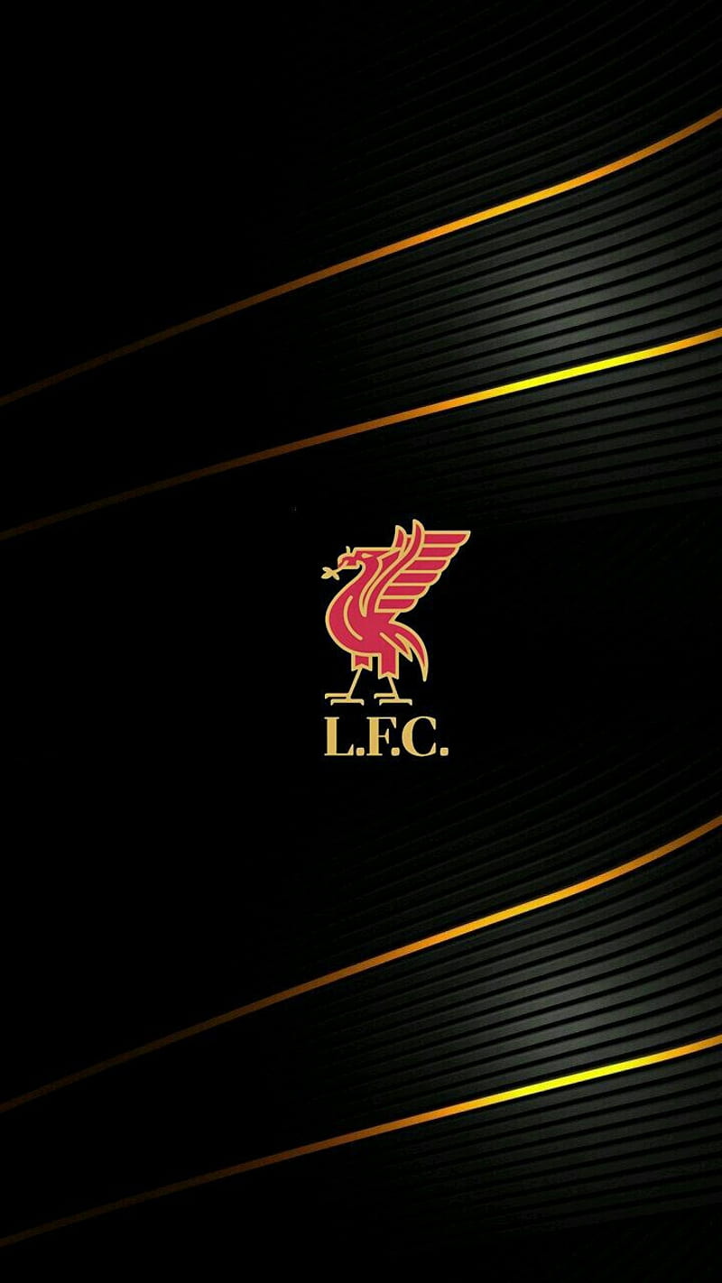 Liverpool, champions league, futebol, sport, HD phone wallpaper
