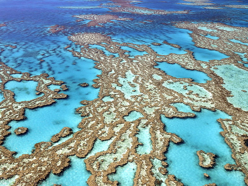 Aerial view Great Barrier Reef, australia, queensland, reef, barrier, HD wallpaper