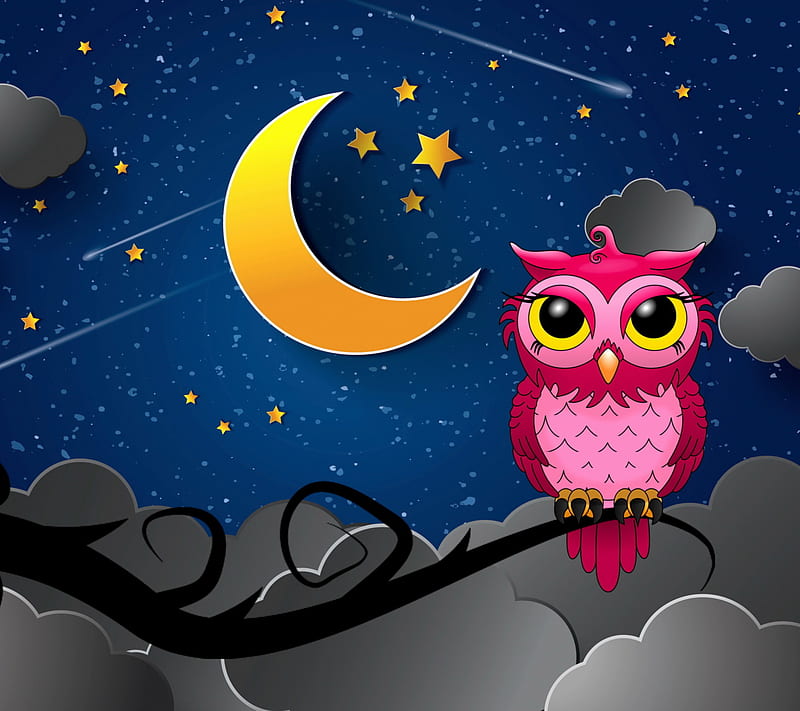 Owl, love, night, silent, HD wallpaper