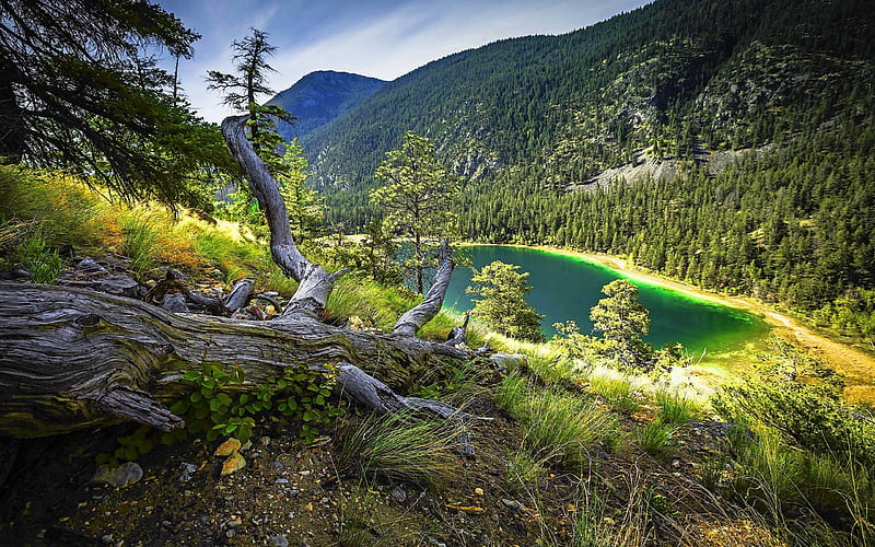 mountains, tree, beautiful lake, turquoise lake, HD wallpaper