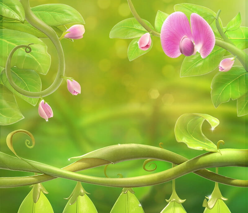fantasy, wai ming, luminos, sangele voinicului, peas, flower, pink, sweet, green, HD wallpaper