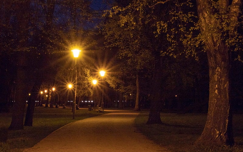 Park at Night, Liepaja, Latvia, Latvia, park, night, lights, HD wallpaper
