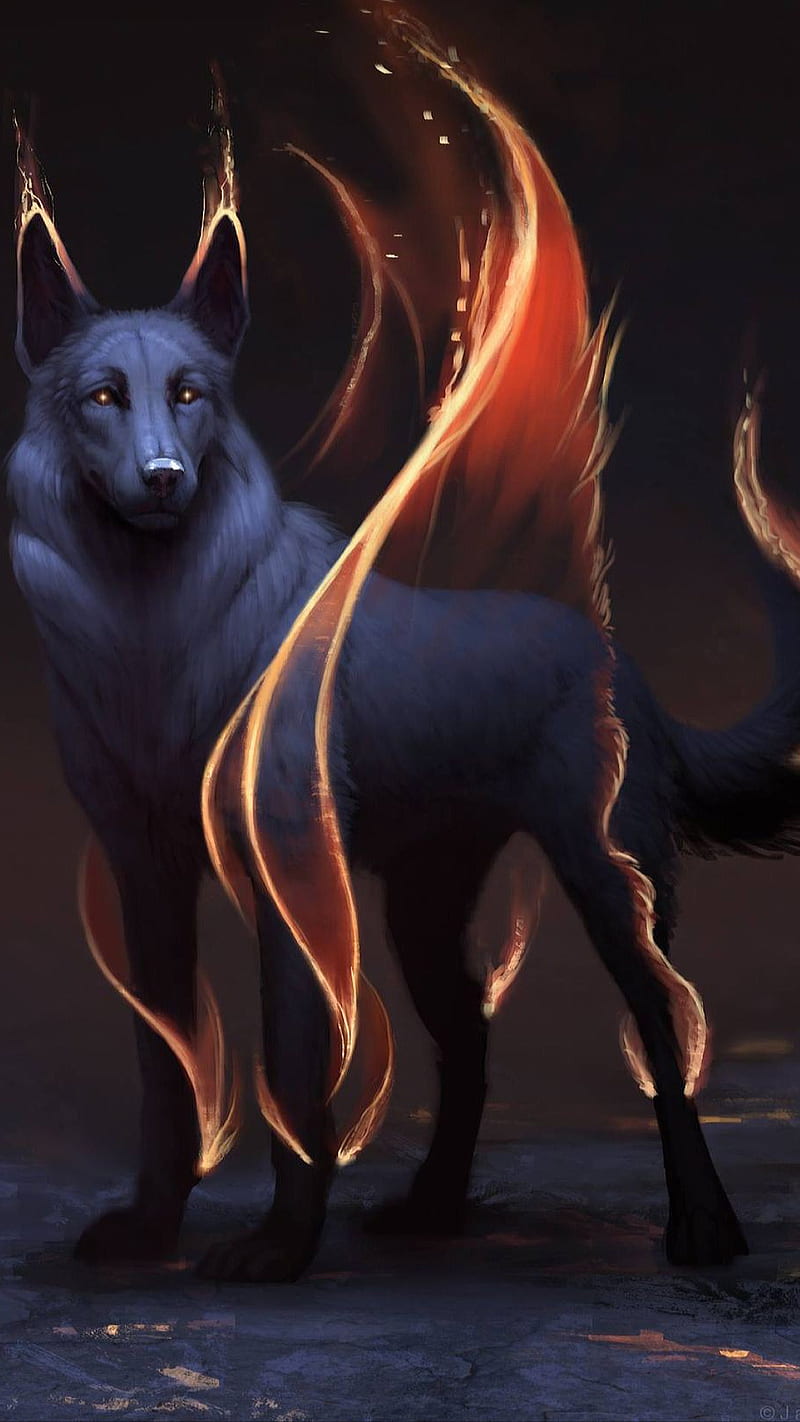 Black wolf, animal, fantasy, fire, HD phone wallpaper