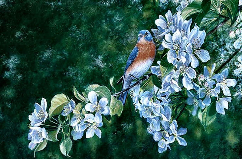 Pájaro azul en flores f1c, arte, obra de arte, pájaro azul, animal, pájaro,  aviar, Fondo de pantalla HD | Peakpx