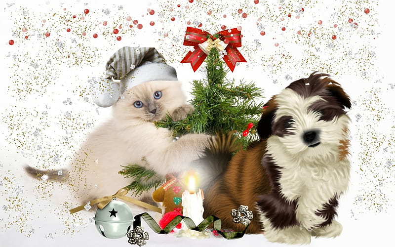 Christmas cat and dog, pretty, colorful, background, bonito, cold, graphy, nice lovely, holiday, christmas, decoration, new year, winter, happy, merry christmas, balls, snow, HD wallpaper