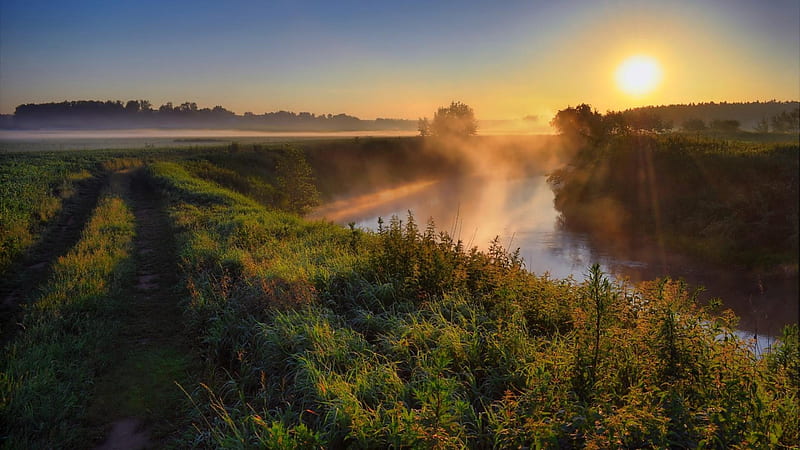 misty sunrise on rural river, fields, river, sunrise, tracks, mist, HD wallpaper