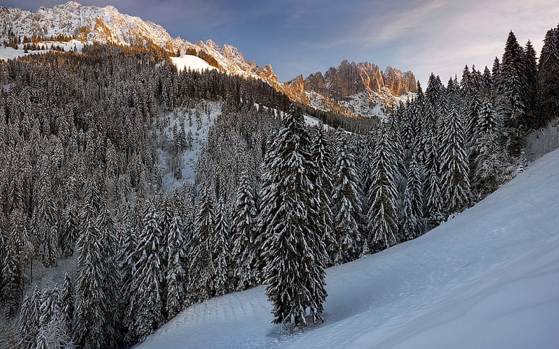 winter, mountains, snow, mountain landscape, winter landscape, forest, HD wallpaper