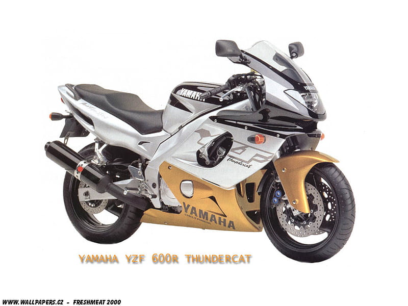 YZF600cc, motorbike, yamaha, HD wallpaper
