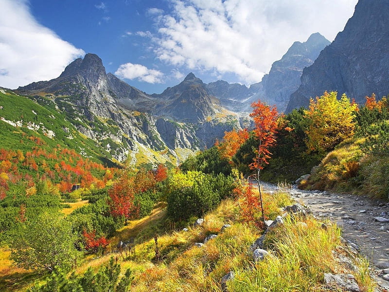Tatra Mountains,Slovakia, tatra, mountains, nature, sky, trees, landscape, HD wallpaper