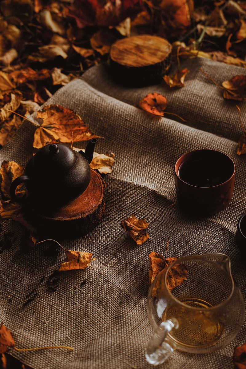 teapot, autumn, leaves, cloth, HD phone wallpaper