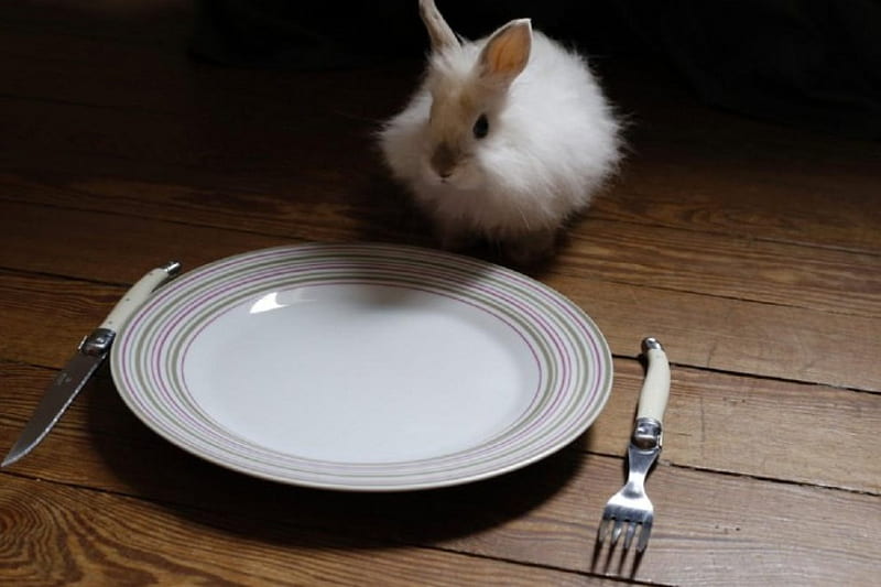 Rabbit, table, plate, animal, fork, knife, HD wallpaper