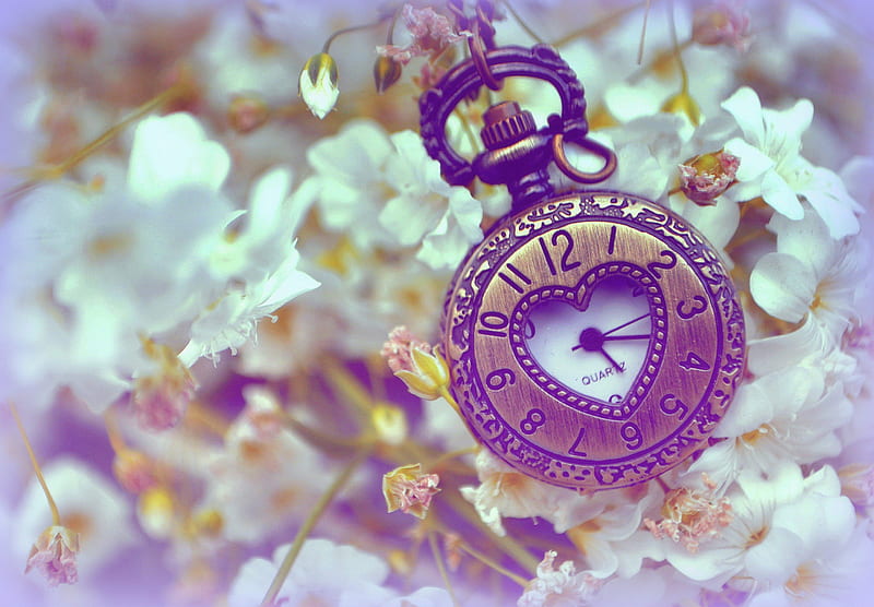 ✫In Time of Peace✫, pretty, conceptual, softness beauty, bonito, graphy, watch, flowers, garden and parks, lovely, colors, love four seasons, clock, in time, peace, weird things people wear, garden, beloved valentines, HD wallpaper