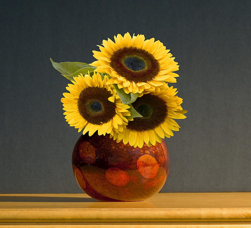 Sunflowers in vase., still life, plant, flower, yellow, vase, sunflower