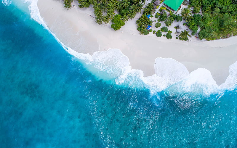 Aerial view blue ocean beach palm trees, HD wallpaper