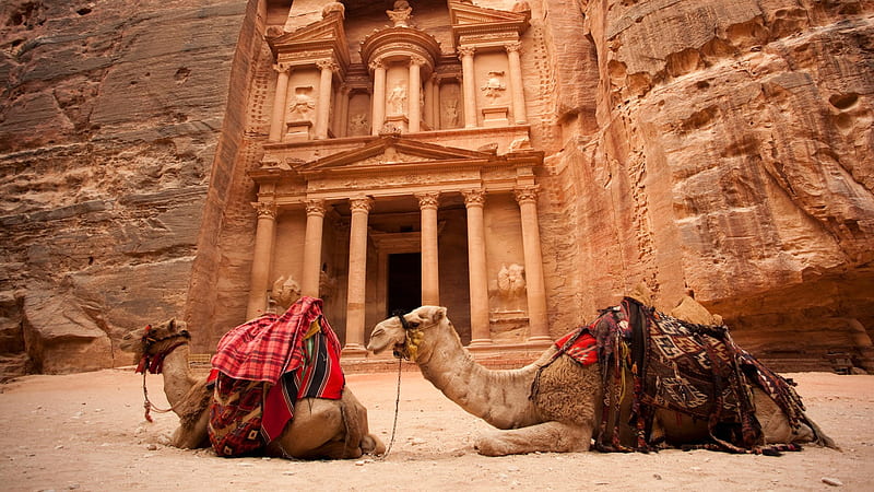 Ancient Ruins of Petra, Jordan, ruins, architecture, camels, ancient, jordan, HD wallpaper