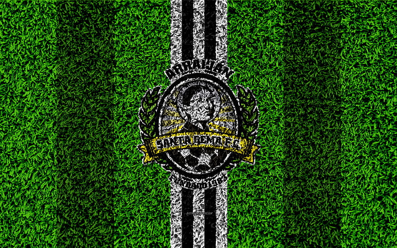 Santa Gema FC logo, football lawn, Panama football club, white black lines, grass texture, emblem, Panamanian Football League, Arraijan, Panama, football, HD wallpaper
