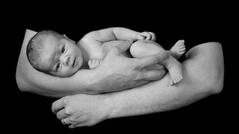 beginnings of life, hold, life, hand, baby, father, HD wallpaper