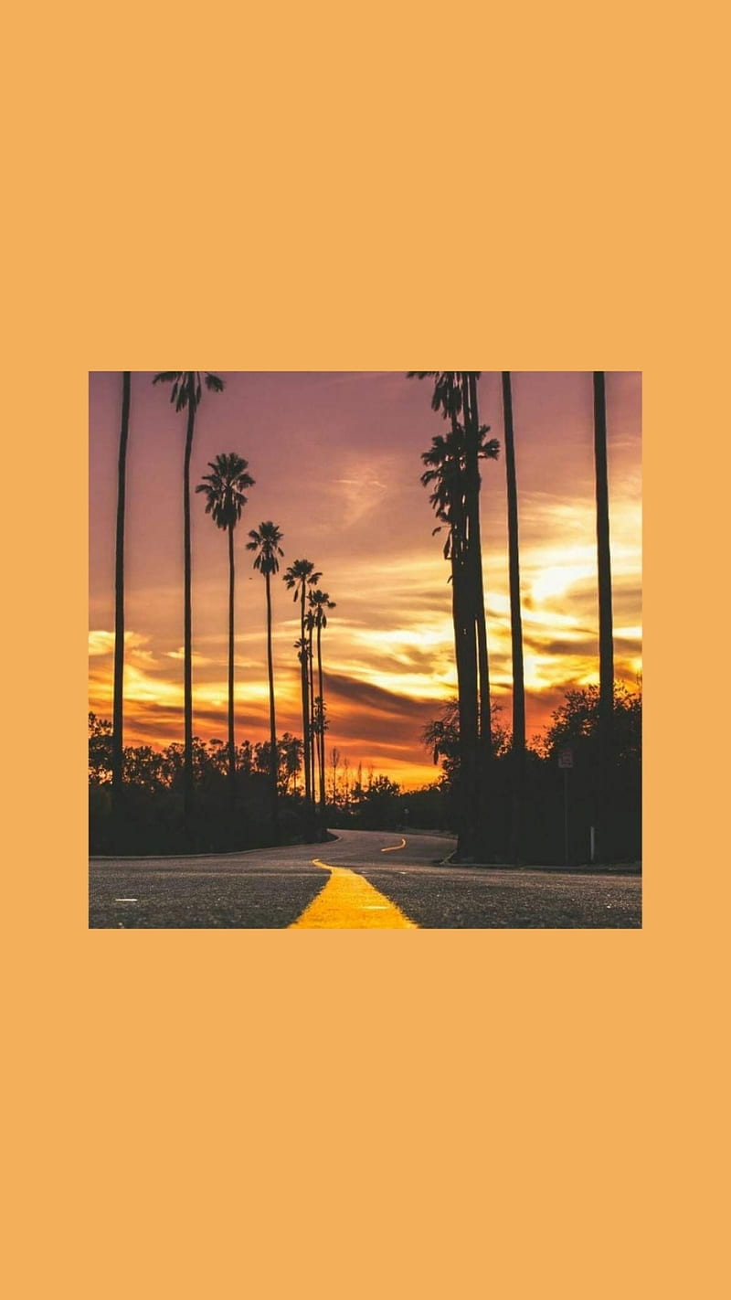 Sunset, chill, palm, road, vibes, HD phone wallpaper
