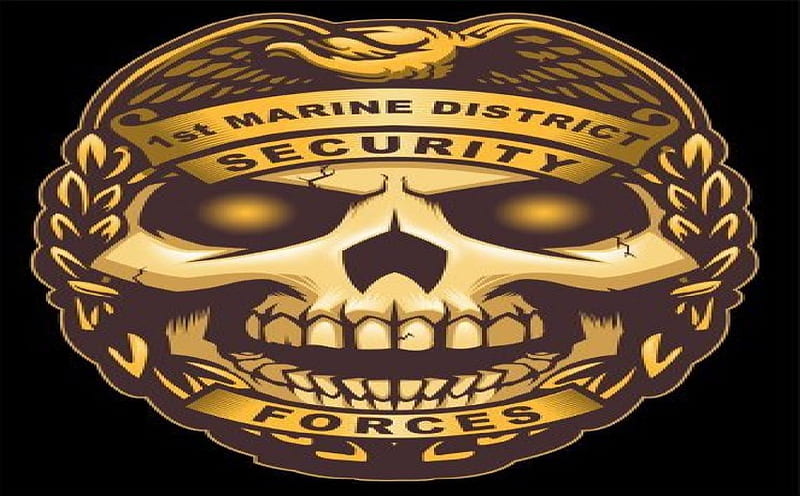 1st Marine District Security, recon, marines, marine corps, usmc, HD wallpaper