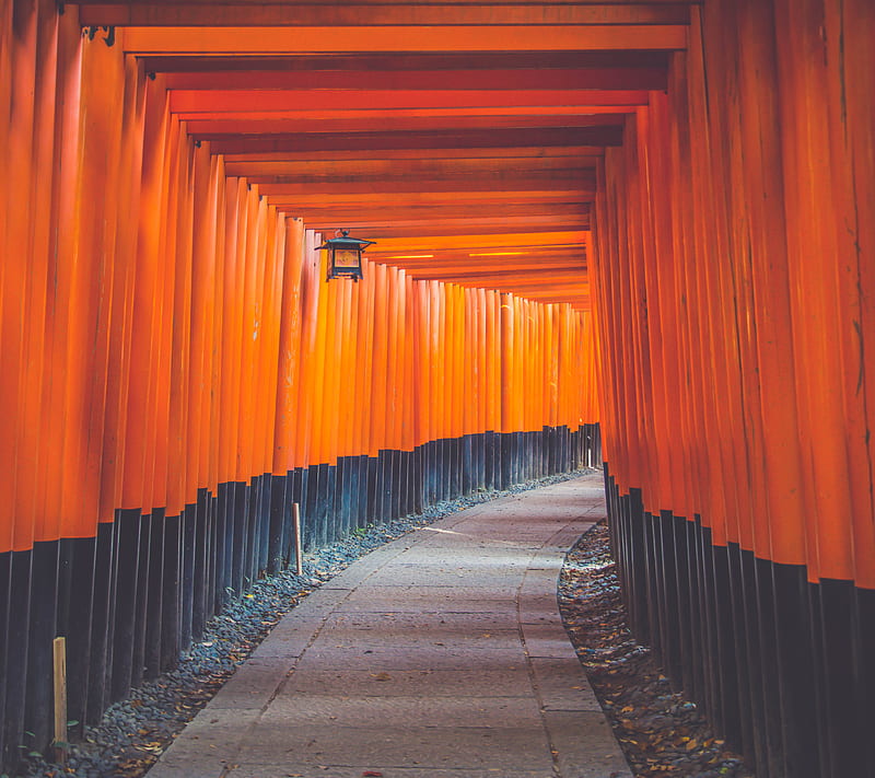 Hallway, architecture, japan, orange, HD wallpaper