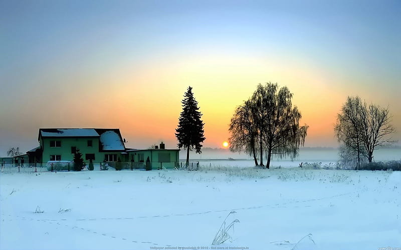 Winter sun, background, snowy, nice, gold, multicolor village, dawn, countires, town, winterscape, snow, white, ambar, cold, leaves, green, amber, way, blue, horizon, maroon, icy, nature, branches, meadow, orange, dusk, clouds, pathway, sunrise, morning, , golden, houses, trees, pines, sky, country, cool, awesome, ice, cold morning, hop, landscape, field, colorful, brown, gray, sunny, twilight, trunks graphy, sunsets, trail, hot, pink, amazing view, bea, colors, leaf, frozen, natural, HD wallpaper