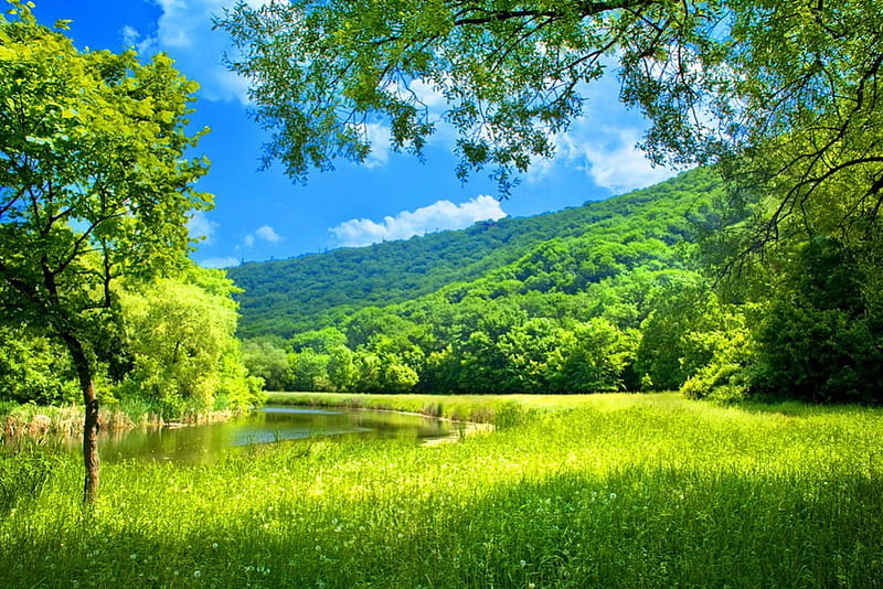 Green landscape, pretty, grass, bonito, clouds, mountain, nice, green, lovely, greenery, sky, lake, freshness, pond, tree, serenity, slope, branches, meadow, field, landscape, HD wallpaper