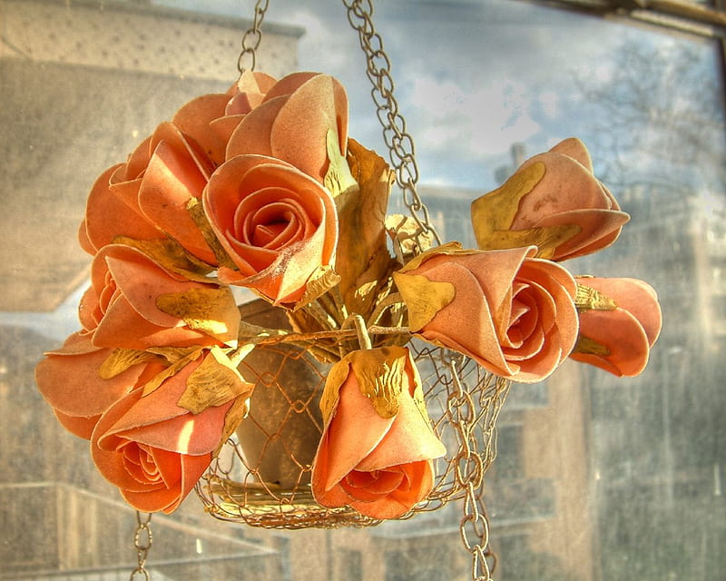Orange beauty, orange, flowerpot, roses, arangement, bouquet, flowers, beauty, nature, r, popular, HD wallpaper