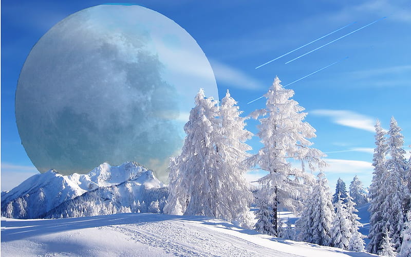 FANTASY WINTER, fantasy, moon, snow, trees, winter, cold, HD wallpaper