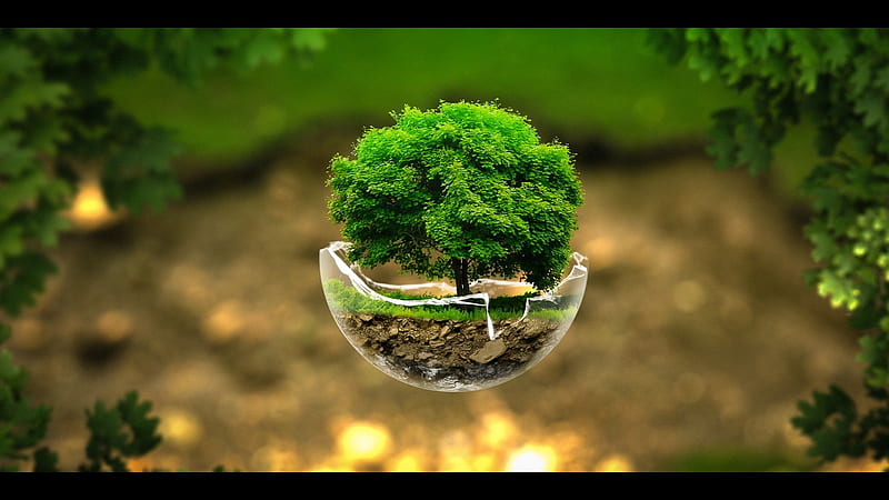 Surreal Nature Sphere FullWpp Full [] for your , Mobile & Tablet. Explore Cool 3D Nature. Cool 3D for Walls, HD wallpaper