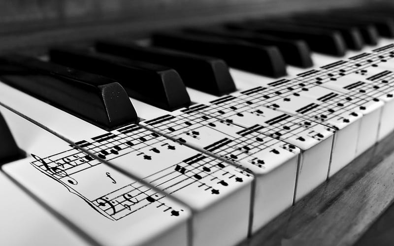 Piano Keyboard, playing, creation, piano, music, HD wallpaper