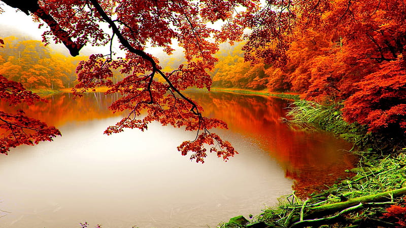 Autumn at the lakeside, Fall, Lake, Leaves, Autumn, HD wallpaper