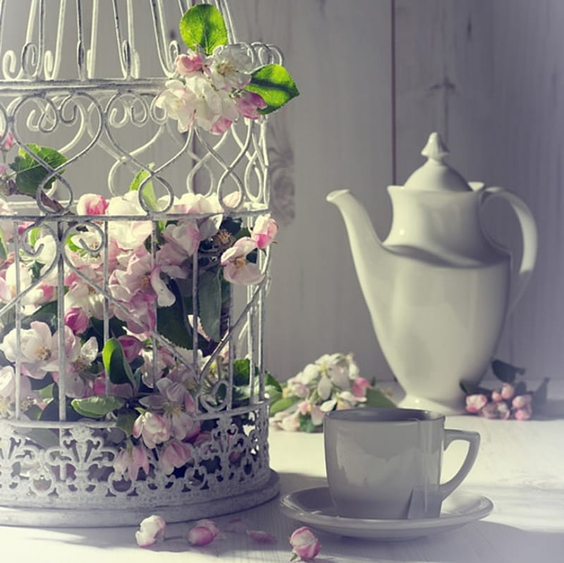 Vintage Afternoon Tea With Spring Blossom Soft Tea Abstract Birdcage Hd Wallpaper Peakpx