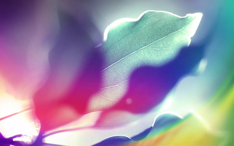 Colorful leaves under the sun-abstract design background glare 01, HD wallpaper