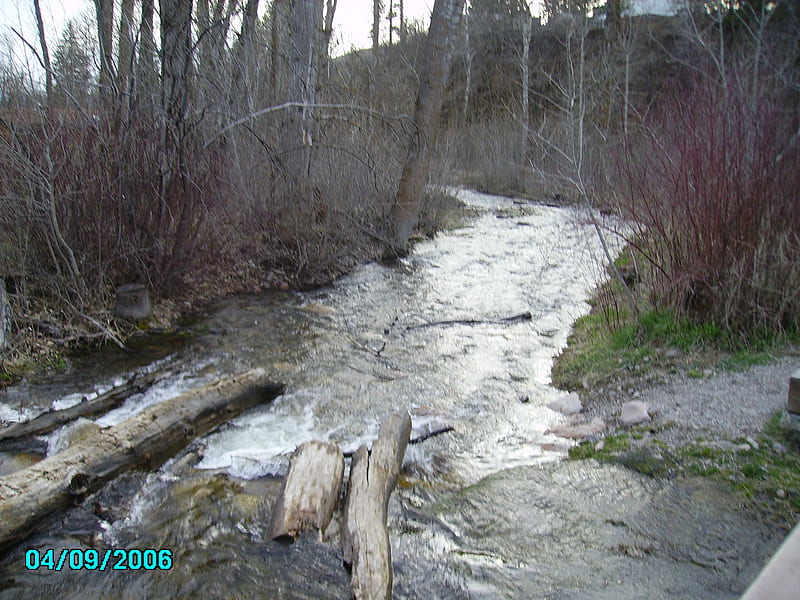 Rattle Snake Creek, river, spring, montana, missoula, HD wallpaper