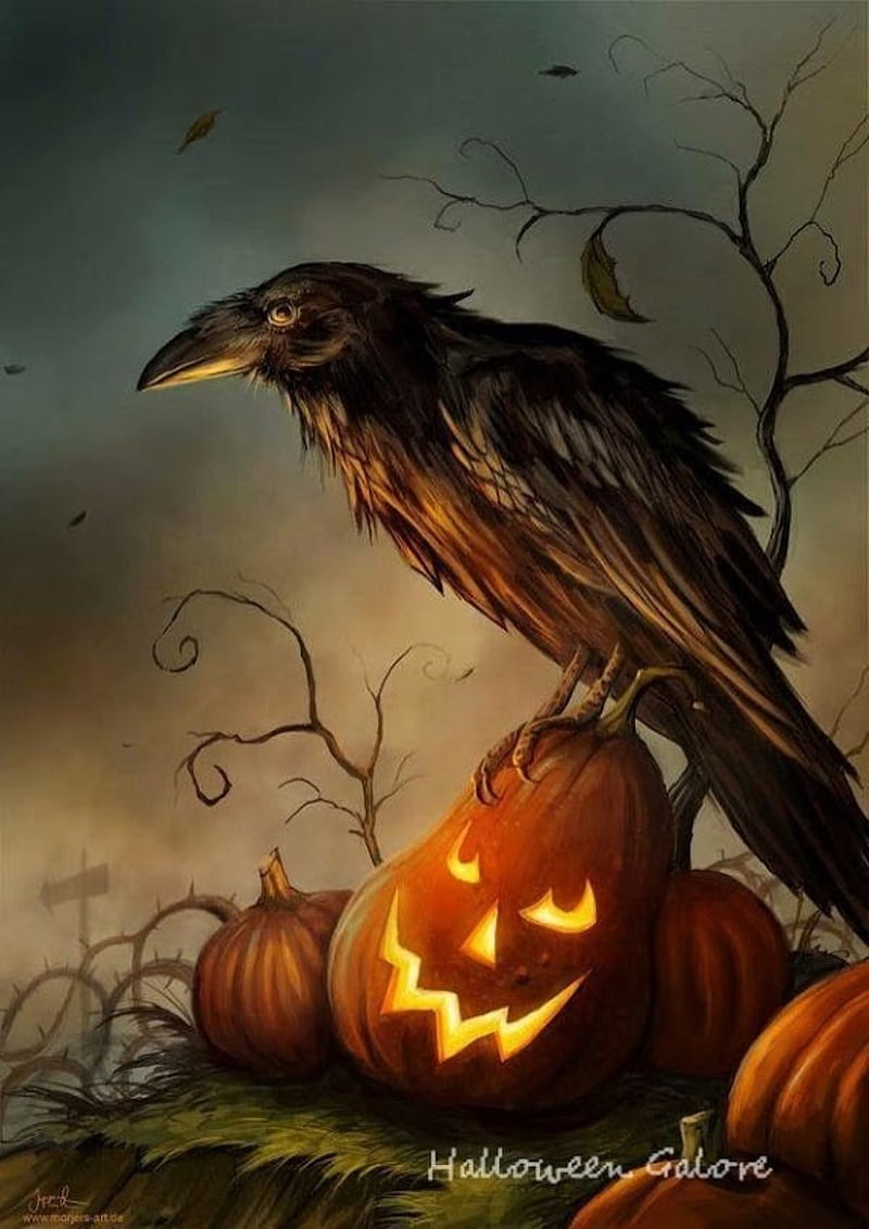 halloween, pumpkin, raven, HD phone wallpaper