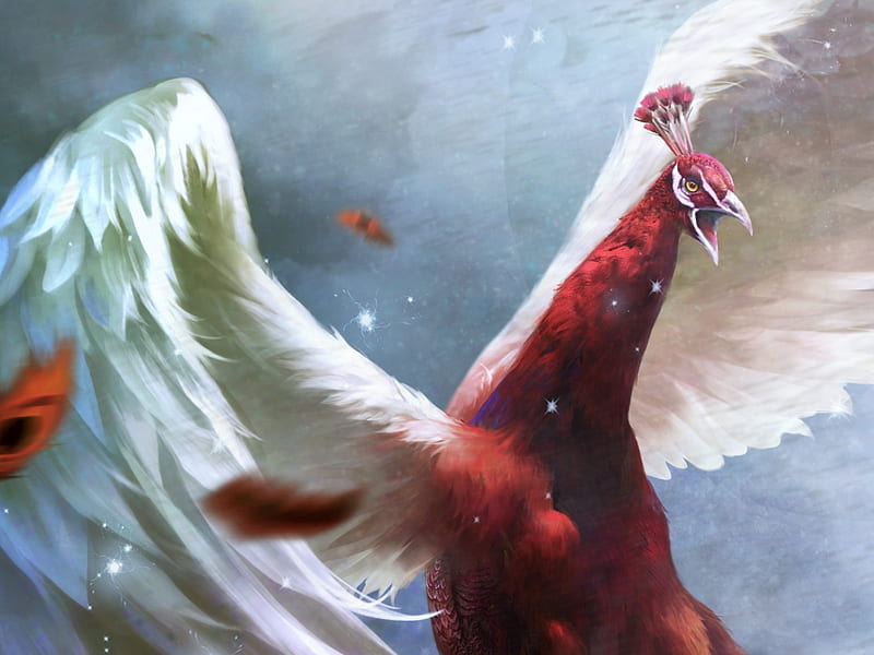 Fantasy peacock, red, wings, pasare, peacock, fantasy, bird, feather, HD wallpaper Peakpx