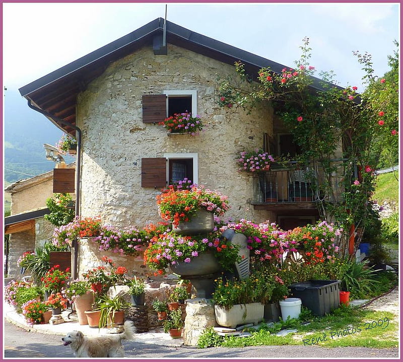 House in Italy, art , stone house, balcony, flowers, bonito, street, fullcolours, HD wallpaper