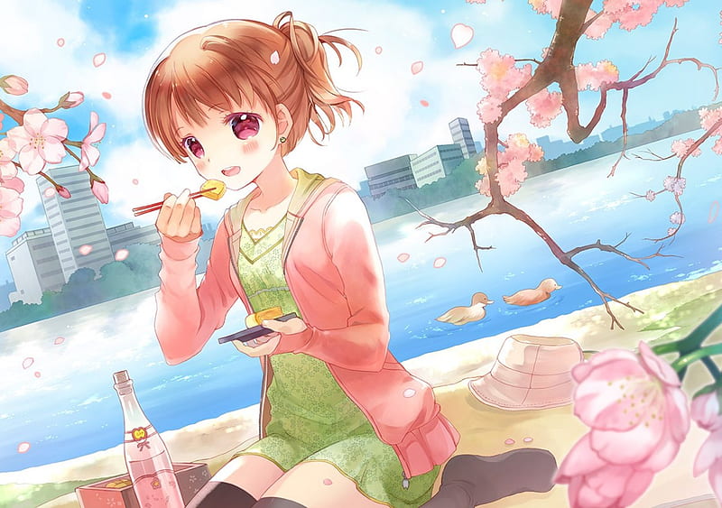 Hanabi, sakura, cute, girl, orginal, cherry blossom, bento, HD wallpaper