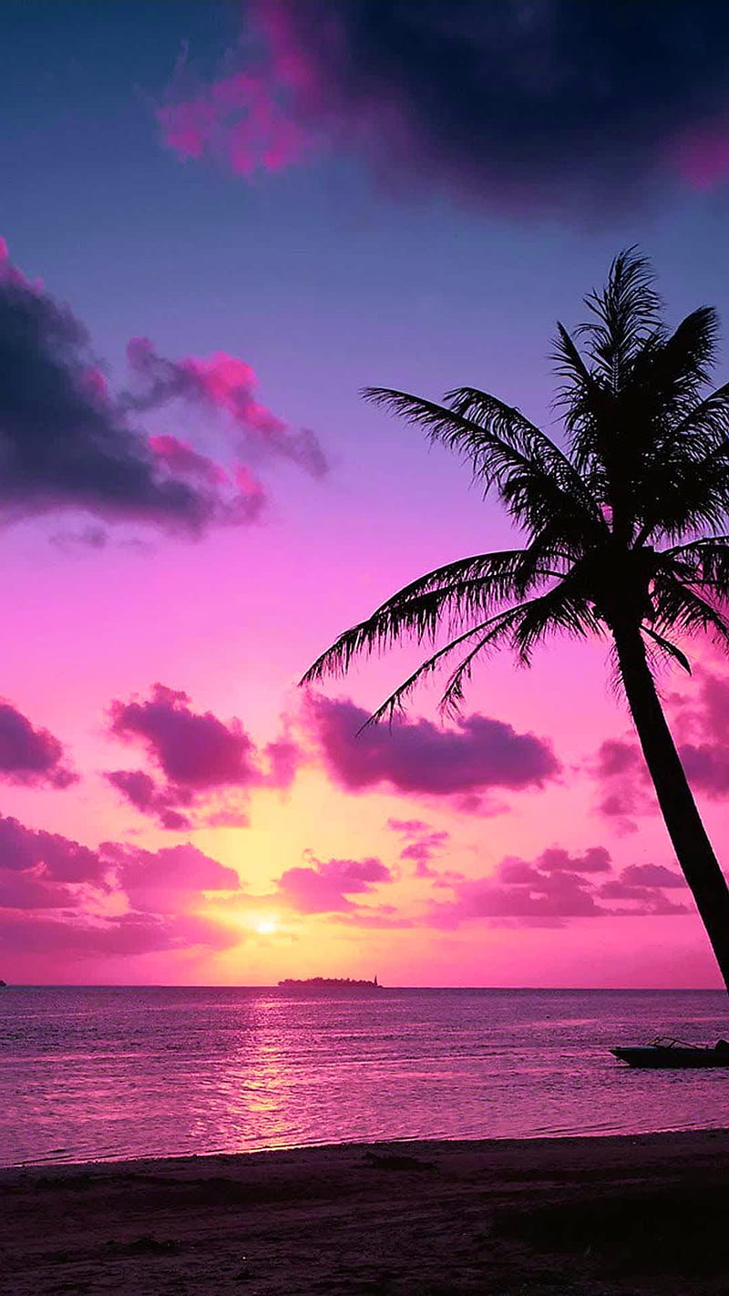 Details 64+ tropical sunset pink beach wallpaper - in.cdgdbentre