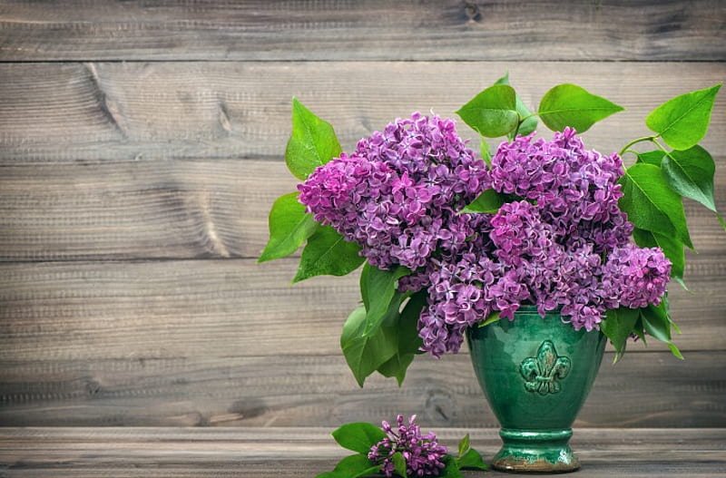 Lilac, purple, green, flower, vase, spring, pink, wood, HD wallpaper