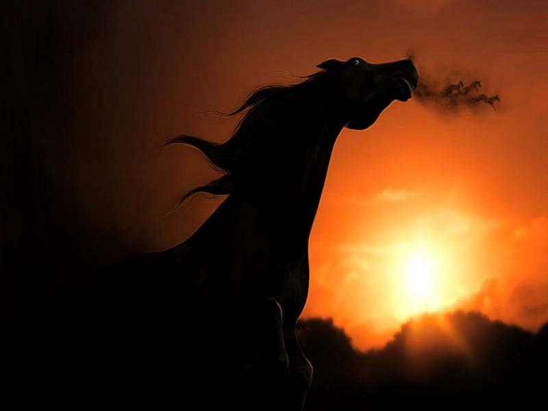 Mustang fury, sunset, fury, horse, wild, HD wallpaper
