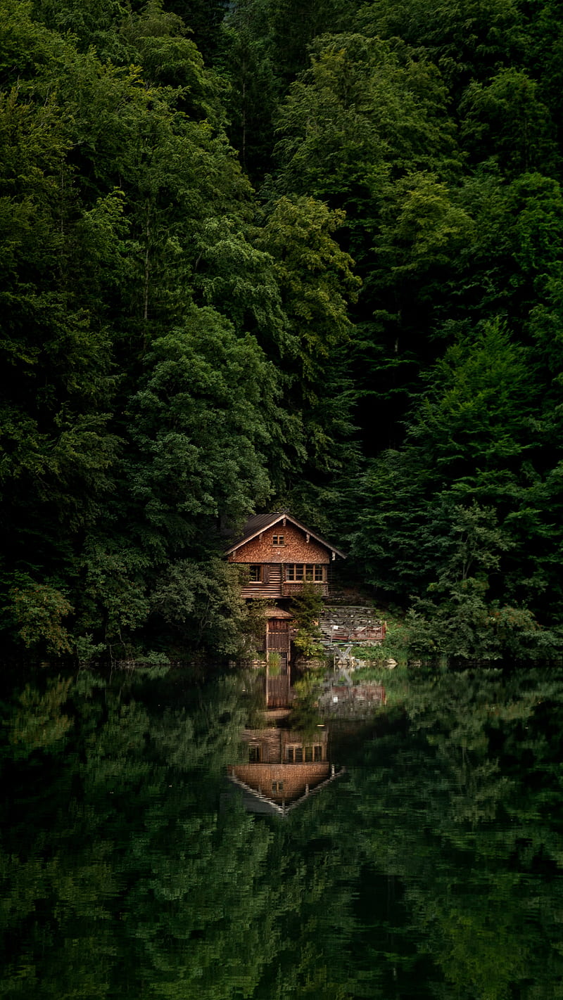 house, lake, shore, forest, trees, HD phone wallpaper