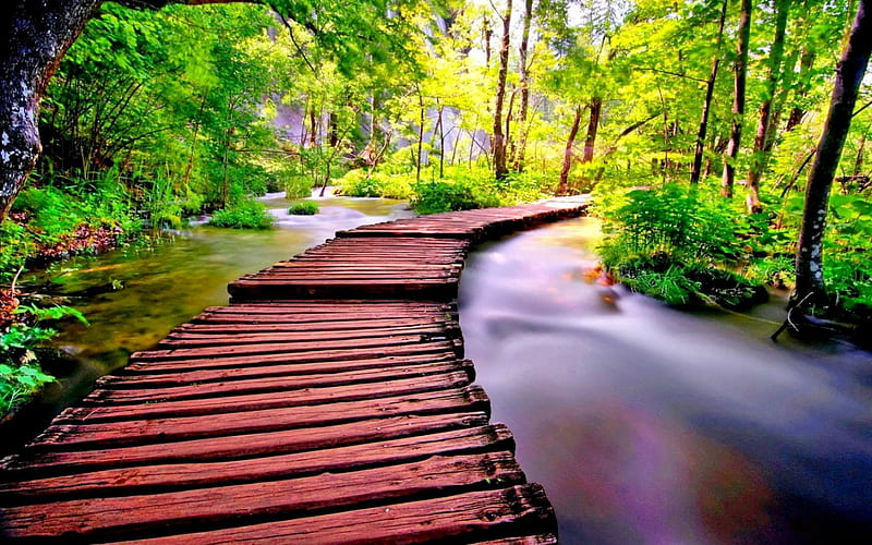 WOODEN BRIDGE on the RIVER, forest, enchanting nature, leaves, water,  splendor, HD wallpaper | Peakpx