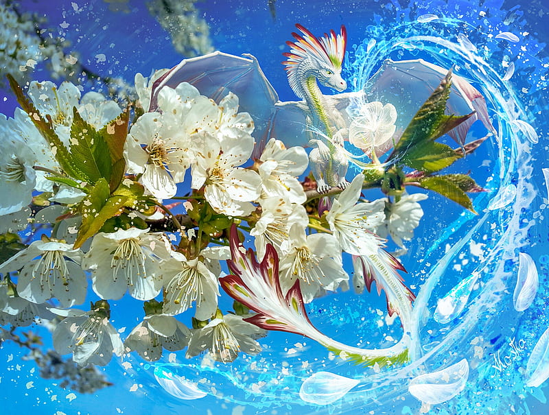 Magic of spring, flower, spring, dragon, white, blue, frumusete, little, anja kostka, luminos, wind, blossom, petals, HD wallpaper