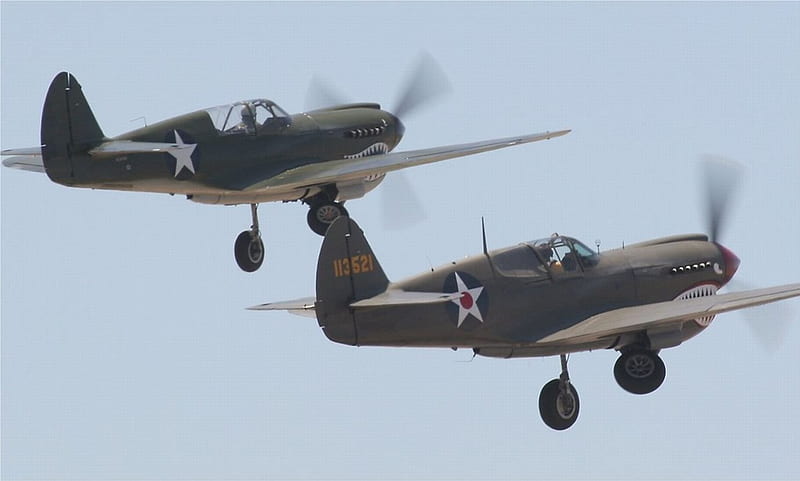 P-40's Gear up, Warhawk, Aircraft, P-40, Warbird, Fighter, HD wallpaper